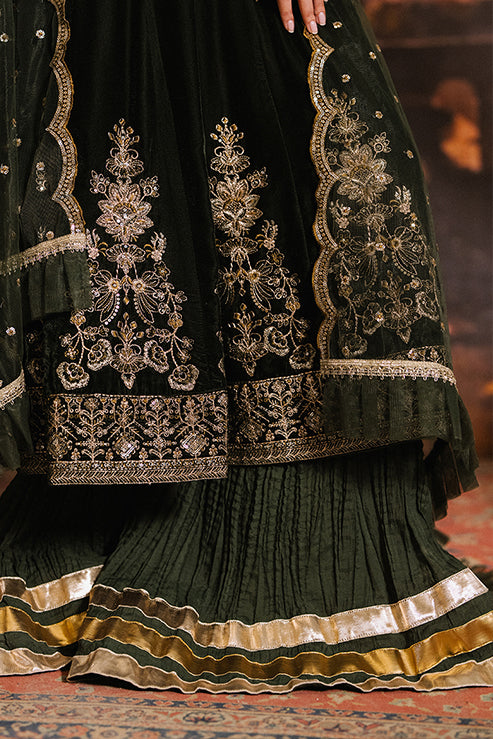 Nova